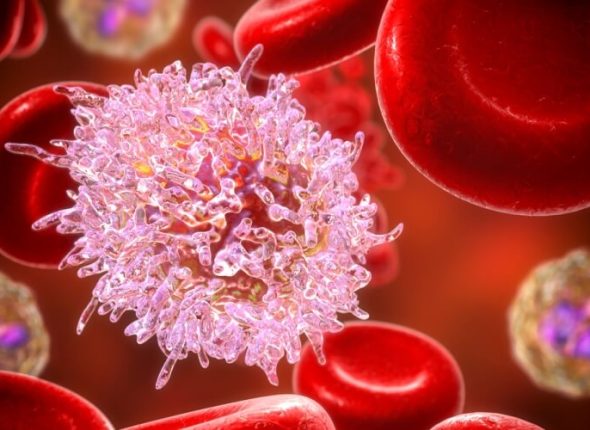 tbl_articles_article_35848_369d9f787f8-6d47-4d01-bb30-74e6bf3090c6